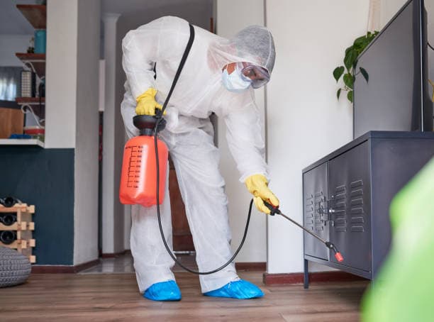 Pest Control & Disinfestation
